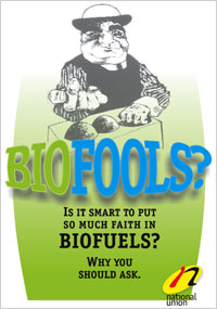 Download Biofools? Is It Smart To Put So Much Faith in Biofuels?