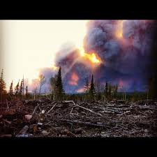 picture of a forest fire in Gogama Ontario