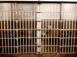 jail cell doors