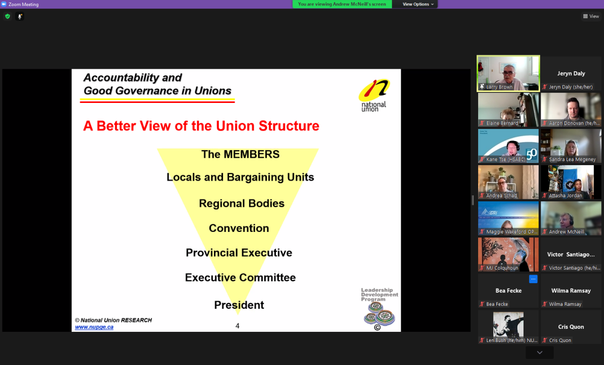 An image of a Zoom screen with LDS participants. Participants are looking at a slide titled "a better view of the union structure" presented by NUPGE President Larry Brown