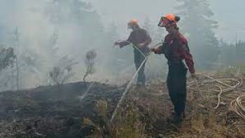 photo of 2 BC wildfire fighters in burned out forest