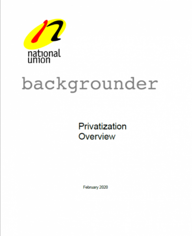 Cover of "Privatization Overview".