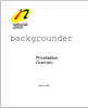 Cover of "Privatization Overview".